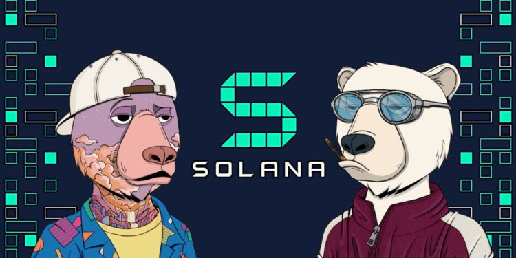 Solana NFT Project ‘Okay Bears’ Sets Record Day 1 Sales