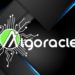 Algoracle, The Next Phase Oracle Solution Ready To Power The Algorand Ecosystem