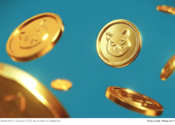 Move Over Bitcoin – Is Shiba Inu The Next Crypto Gold?