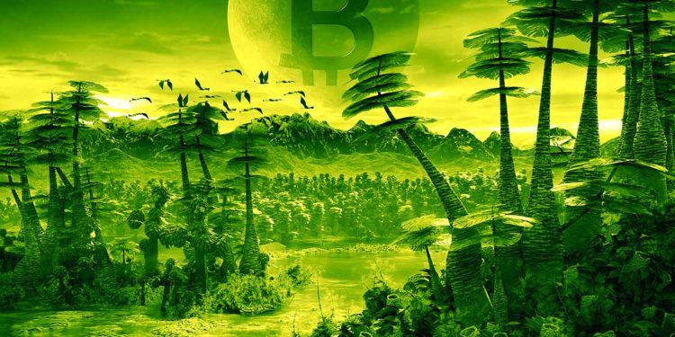 Bitcoin (BTC) Gearing Up for New Rally As Ethereum (ETH) Takes a Breather: Analyst Michaël van de Poppe