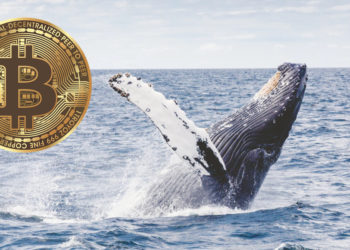 Number Of Bitcoin Millionaires On The Rise As Accumulation Continues