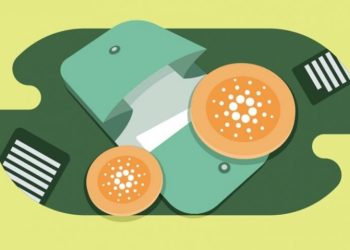 New Wallets Surge On Cardano, What’s Behind This?