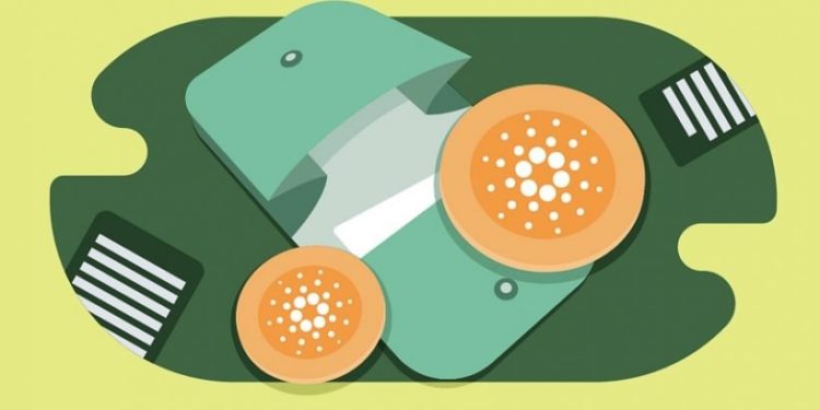 New Wallets Surge On Cardano, What’s Behind This?