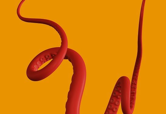 Kraken, Another Giant Exchange Integrates The Lightning Network