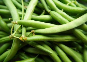 DeFi Stablecoin Platform Beanstalk Suffers ~$80M Hack