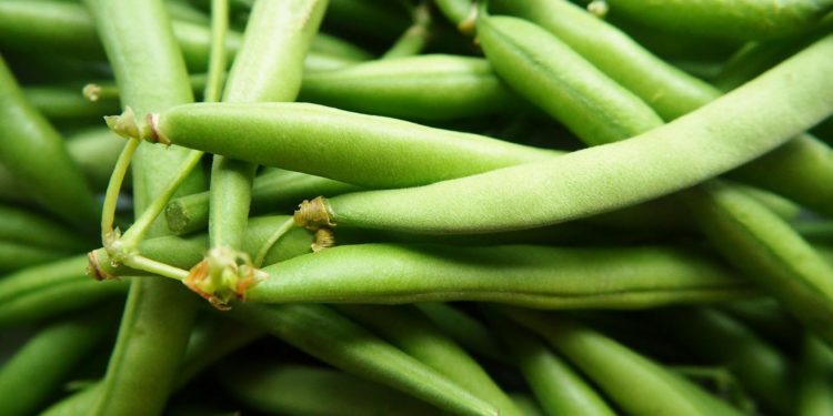 DeFi Stablecoin Platform Beanstalk Suffers ~$80M Hack