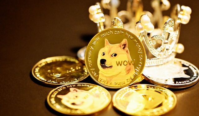 Dogecoin Soared After Elon Musk Bought 9.2% Of Twitter, What’s Next?