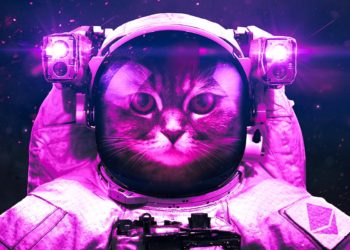 BitMEX CEO Arthur Hayes Shuffles Crypto Portfolio, Choosing Ethereum Over Bitcoin – Here’s Why