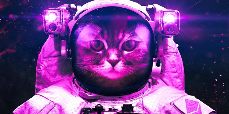 BitMEX CEO Arthur Hayes Shuffles Crypto Portfolio, Choosing Ethereum Over Bitcoin – Here’s Why