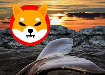 Top Ethereum Whales Now Hold Almost $1.5 Billion Worth Of SHIB
