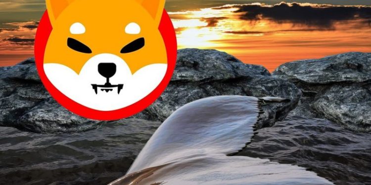 Top Ethereum Whales Now Hold Almost $1.5 Billion Worth Of SHIB
