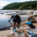 Dubai-Based Startup to Raise $1.2M NFT Fund to Clean Up Ocean Plastics Globally