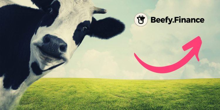 Beefy Finance Token (BIFI) Spikes 168% Overnight, Benefits From Terra Collapse
