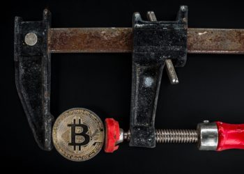 Bitcoin Price Crashes Below $30K As Markets Show Signs Of Paranoia