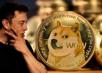 Dogecoin Has Dropped 90% Since “The Dogefather” Debuted On SNL