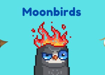 29 Moonbird NFTs Worth $1.5 Million Stolen In Phishing Attack