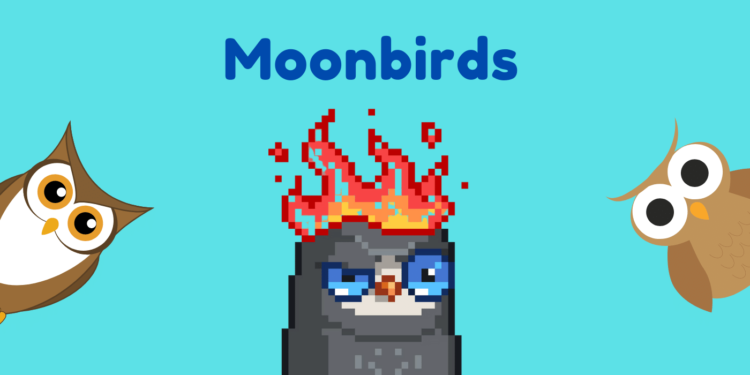 29 Moonbird NFTs Worth $1.5 Million Stolen In Phishing Attack