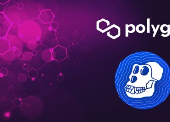 ApeCoin Integrates With Polygon After NFT Mint Disaster