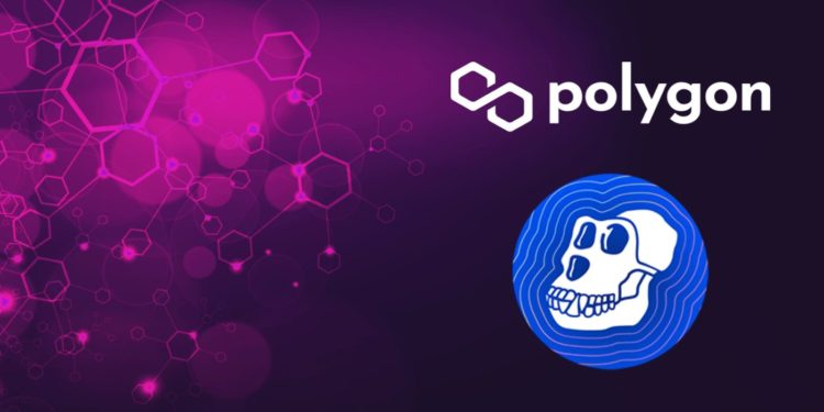 ApeCoin Integrates With Polygon After NFT Mint Disaster