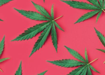 Australian ‘Legalise Cannabis Party’ Turns To BTC For Support