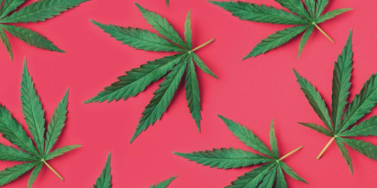 Australian ‘Legalise Cannabis Party’ Turns To BTC For Support