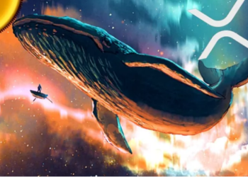 XRP Whales Boost Accumulation Appetite, Register 2-Month Peak Holding Supply