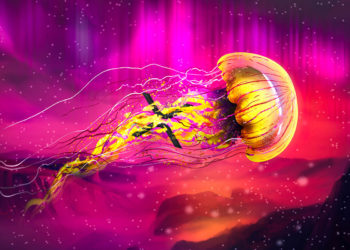 XRP Whales on Accumulation Binge As Ethereum (ETH) Flashes a Bullish Signal, According to Crypto Analytics Firm