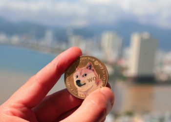 5 Up-and-Coming DOGE Projects that Might be Worth Your Money