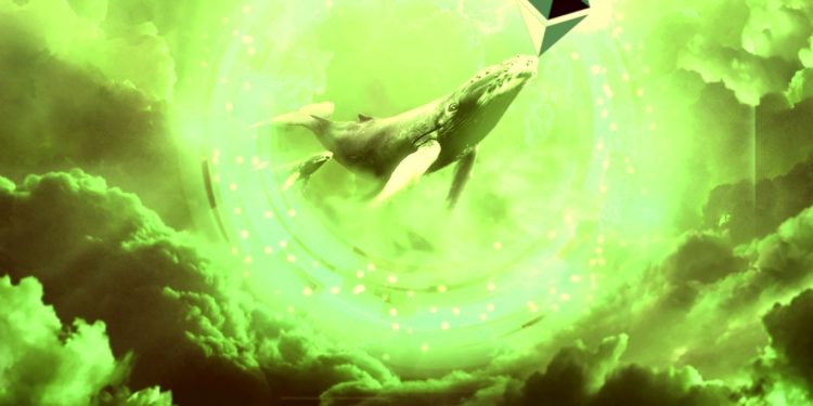 Ethereum Whales Have Accumulated $407,415,040 in ETH in Just 10 Days: Analytics Firm Santiment
