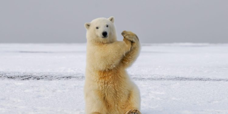 Bitcoin Slips Below $33k As Exchange Inflows Reach Highest Value Since July 2021