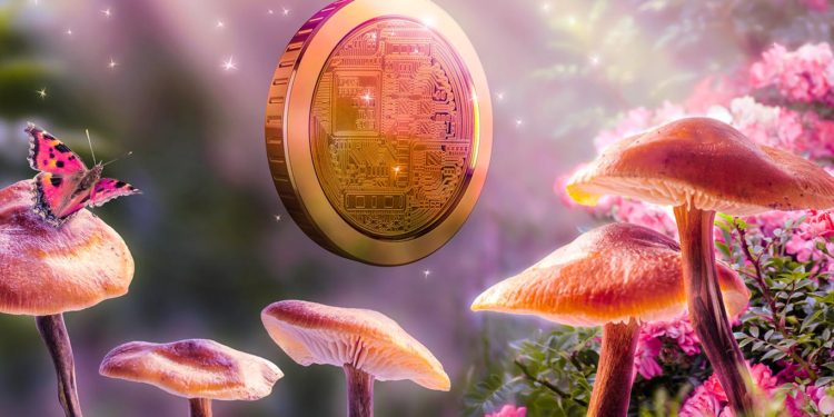 One of 2022’s Most Explosive Altcoins Is About To Walk Off a Cliff, Warns Top Crypto Trader