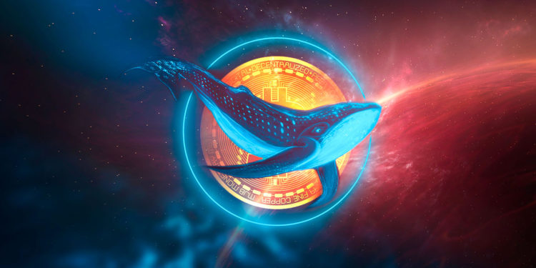 Whales Are Quiety Accumulating ApeCoin, Loopring and Five Additional Ethereum-Based Altcoins, According to WhaleStats