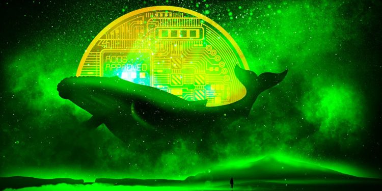 Ethereum Whales Are Loading Up on Three Metaverse Projects and Two Ethereum Altcoins, According to On-Chain Analysis