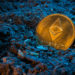 Ethereum (ETH) Market Cap Falls More Than $124 Billion In Six Weeks