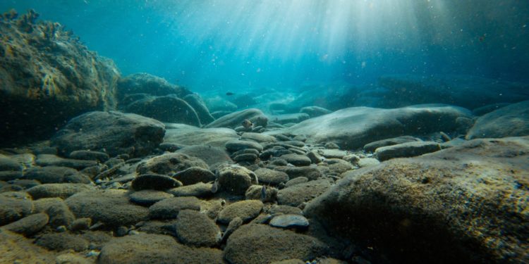 Bitcoin At $20K Could Be ‘New Bottom,’ Commodity Expert Suggests, And Here’s Why