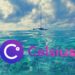 Crypto Lender ‘Celsius’ Pauses Withdrawals, ‘Nexo’ Proposes Buying It Out