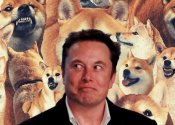 Elon Musk Faces $258 Billion Lawsuit For Alleged ‘Dogecoin Pyramid Scheme’