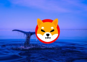 Shiba Inu Now The Largest ETH Whales’ Holding Despite Crypto Market Turmoil