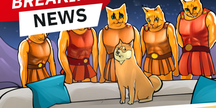 SpartaCats Meme Coin PURR Lists on Two DEXs: PancakeSwap and FlatQube