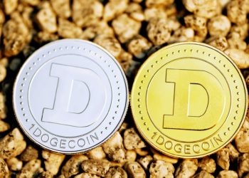 Dogecoin Has Formed A Bullish Reversal Pattern, What’s Next?