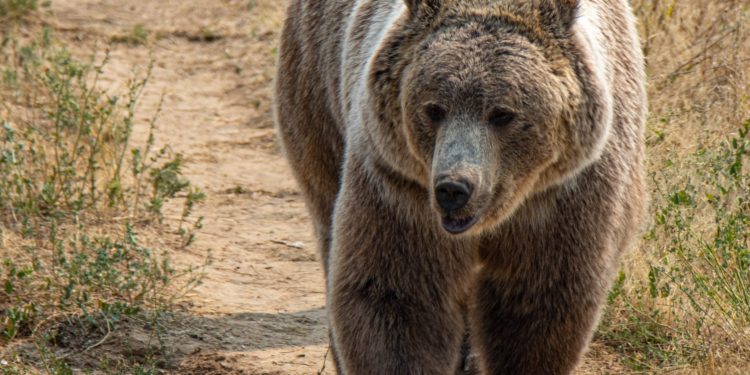 Bitcoin Supply In Loss Reaches 50% As BTC Drops Below $20k