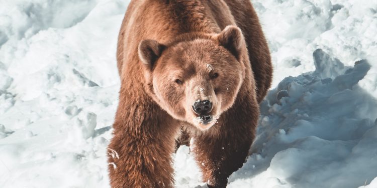 Solana Retraced 8% On The Chart, Is It Eyeing $30?