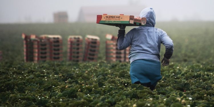 Mr. Wonderful-Backed Green Bitcoin Mining Venture To Build $500M HQ In N. Dakota