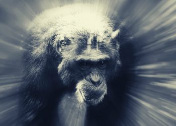 ApeCoin Pumps Almost 50% On Release Of ‘Otherside’ Metaverse Demo