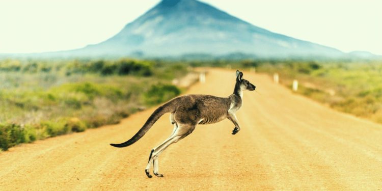 Australia Ranks Last Out Of 20 Countries In Digital Currency Ownership: UN Report