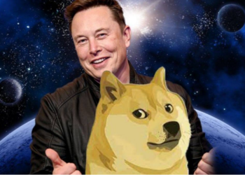 Dogecoin (DOGE) Could Use Some Lift