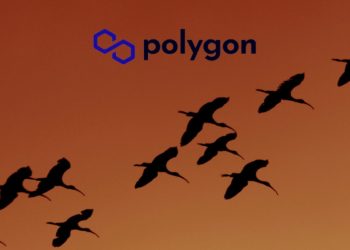 Terra Based Projects Begin Mass Exodus To Polygon After Terra Implosion