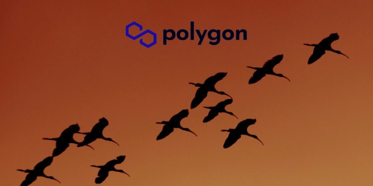Terra Based Projects Begin Mass Exodus To Polygon After Terra Implosion