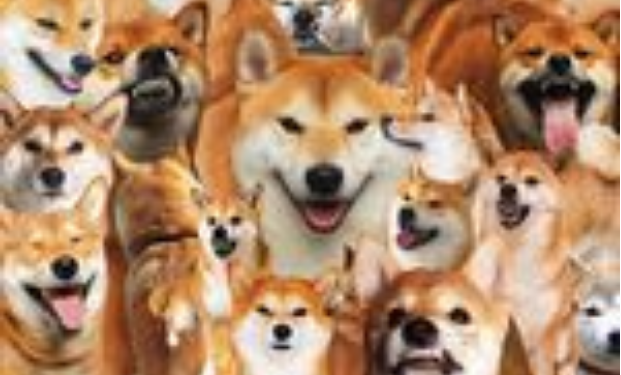 Shiba Inu Whales Trading Volume Surges 640% As SHIB Holds Critical Support