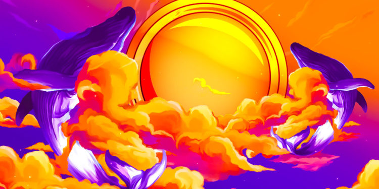 Ethereum Whales Pile Into Dogecoin Competitor Shiba Inu As Holdings Explode by Over 500%